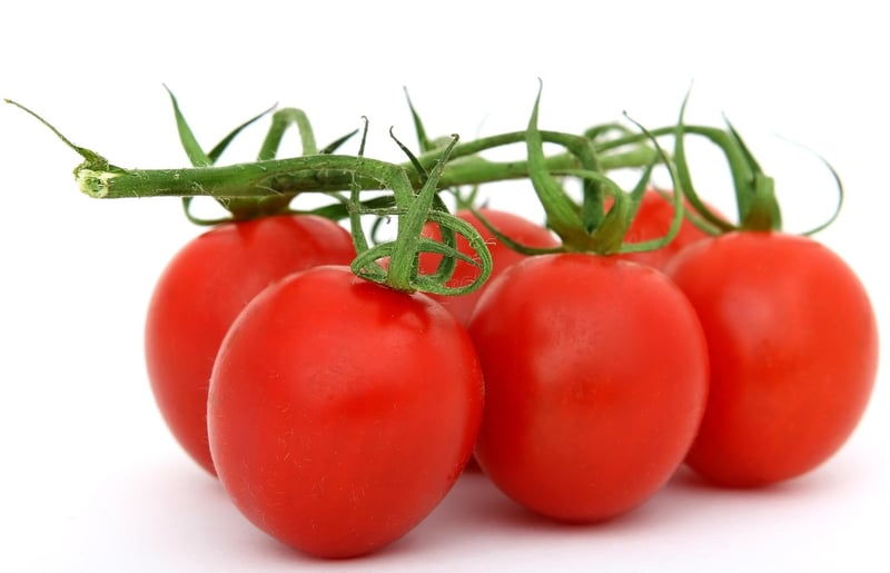 Exotic Cuisine